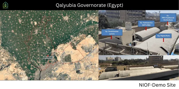 Demo Site 1