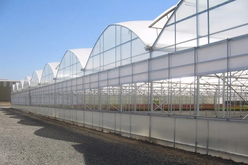Water Scarcity in Agriculture